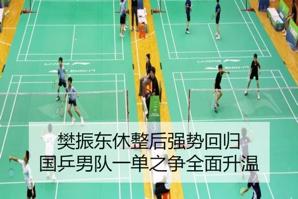 樊振东休整后强势回归 国乒男队一单之争全面升温（LEYU.COMapp）