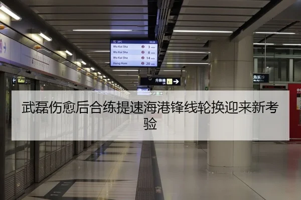 武磊伤愈后合练提速海港锋线轮换迎来新考验 | LEYU.COMapp